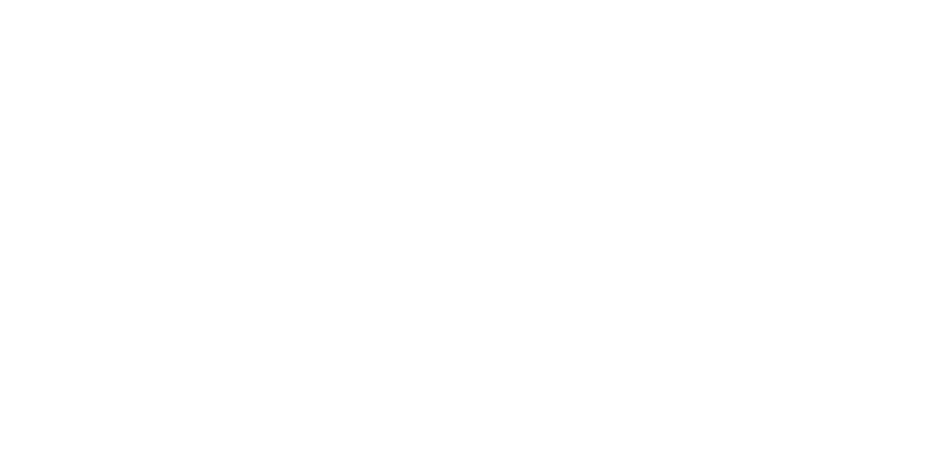 The Avenue team white